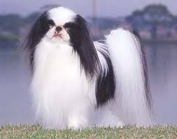 �����Ƒ��Ɍ}����O��